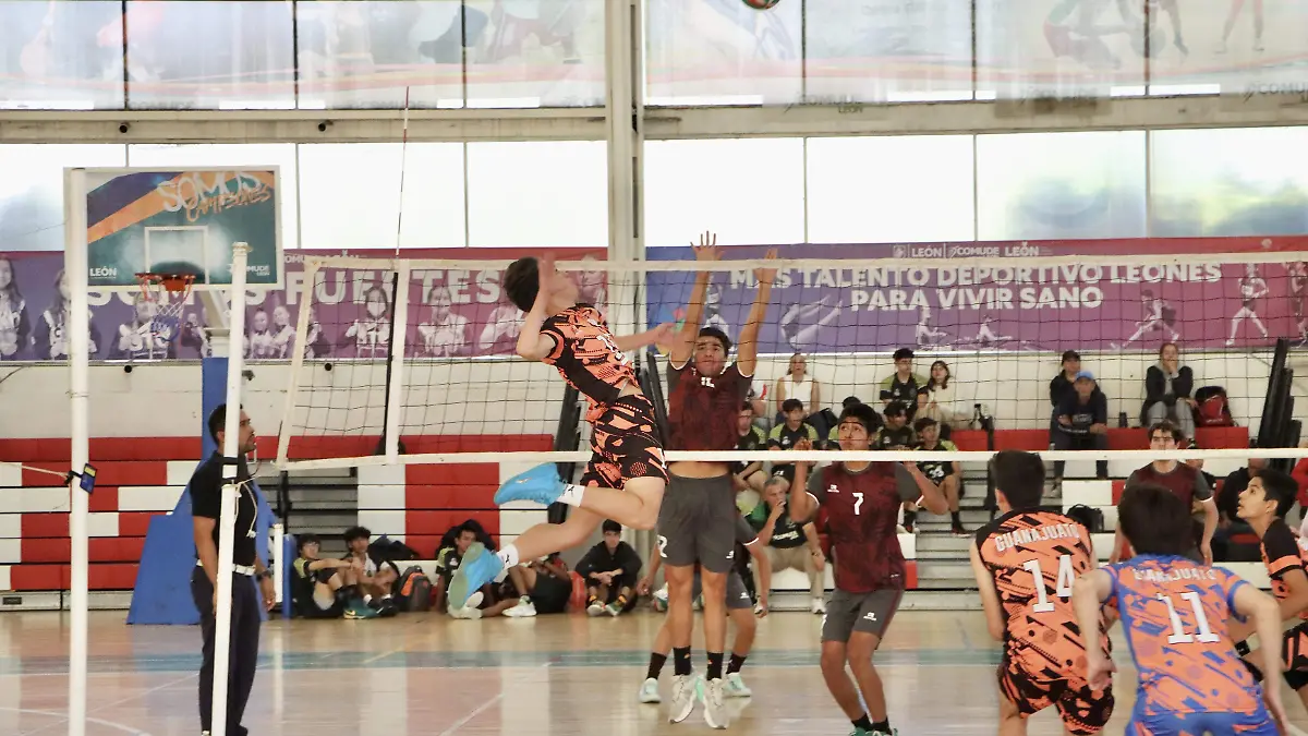 VOLEIBOL-LEÓN (1)